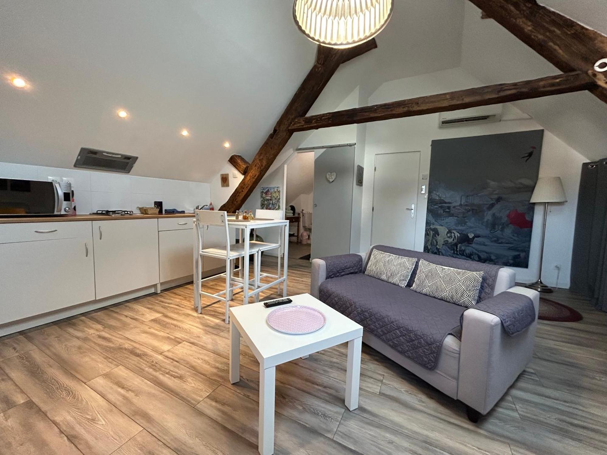 Appartement L'Ours de Colmar bis Extérieur photo
